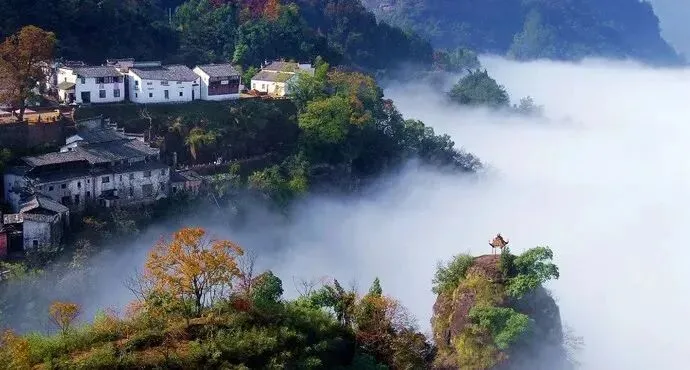 6992a0d91a9b50d8db2216313abbf4fa-sz_53119