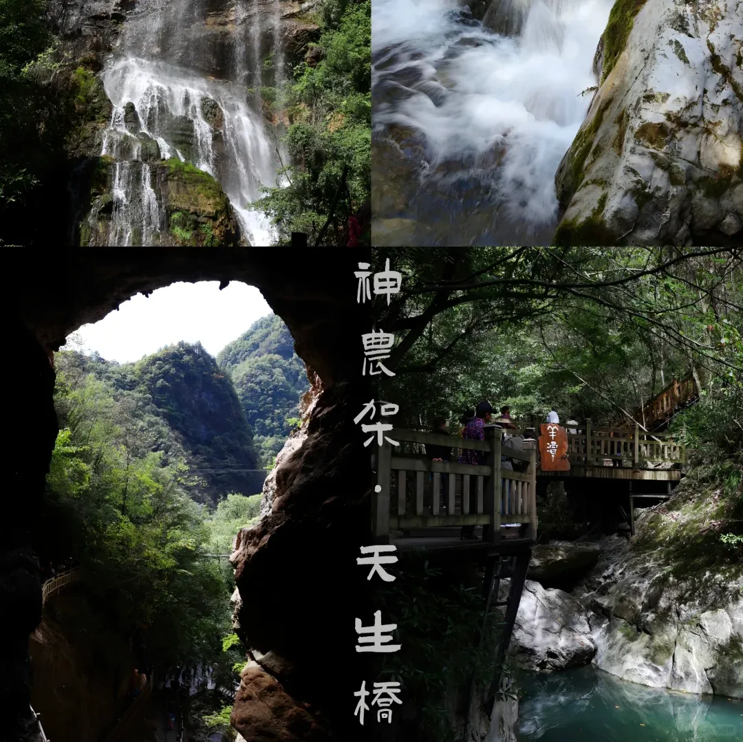 6a3796c16a126ba586397aaa31638b3b-sz_2604794-2