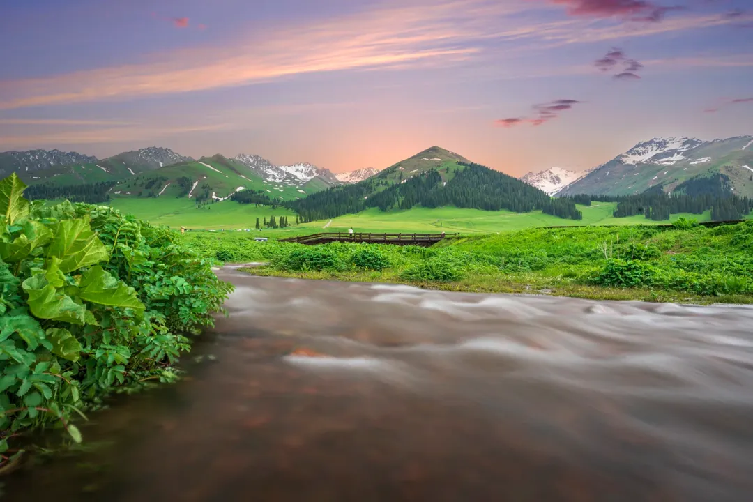 6aa68754ad847b3fabc40d08198b8f9f-sz_2344261