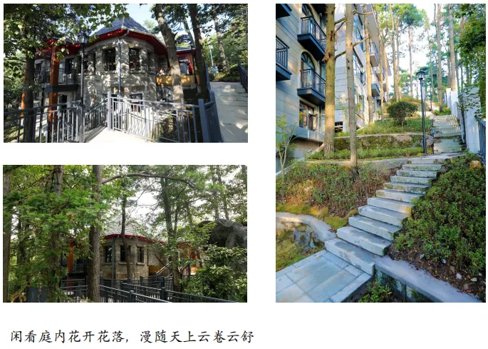 6aa6a66da10db4eae5781d2a0dd90936-sz_650174