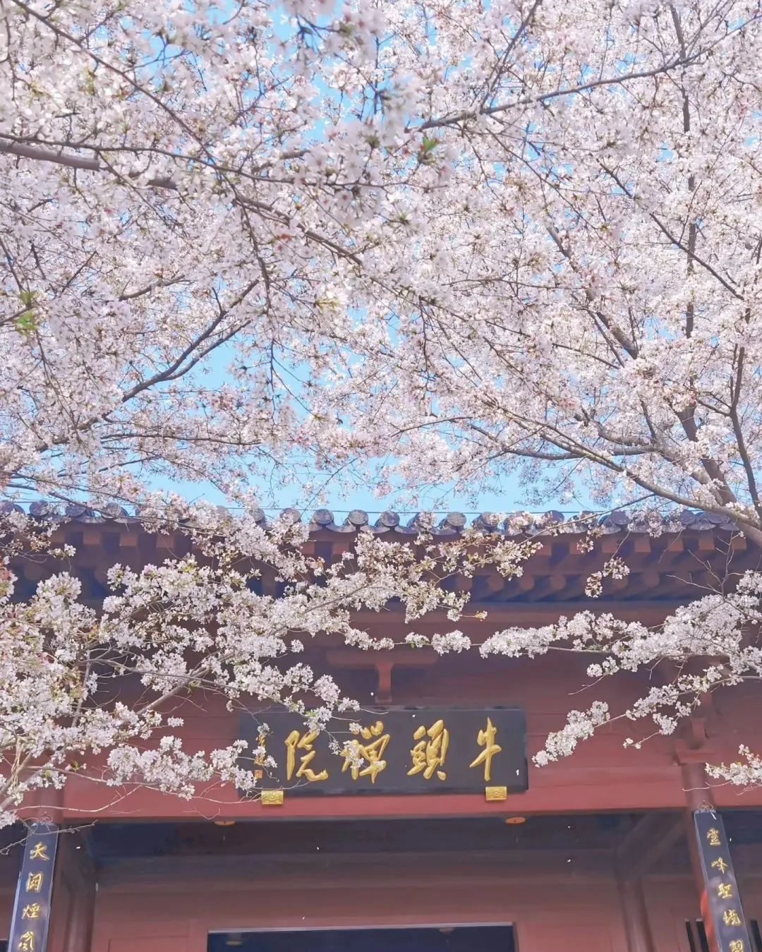 6bd2a4dbba84bf7405dba99a4df4a4e1-sz_588371