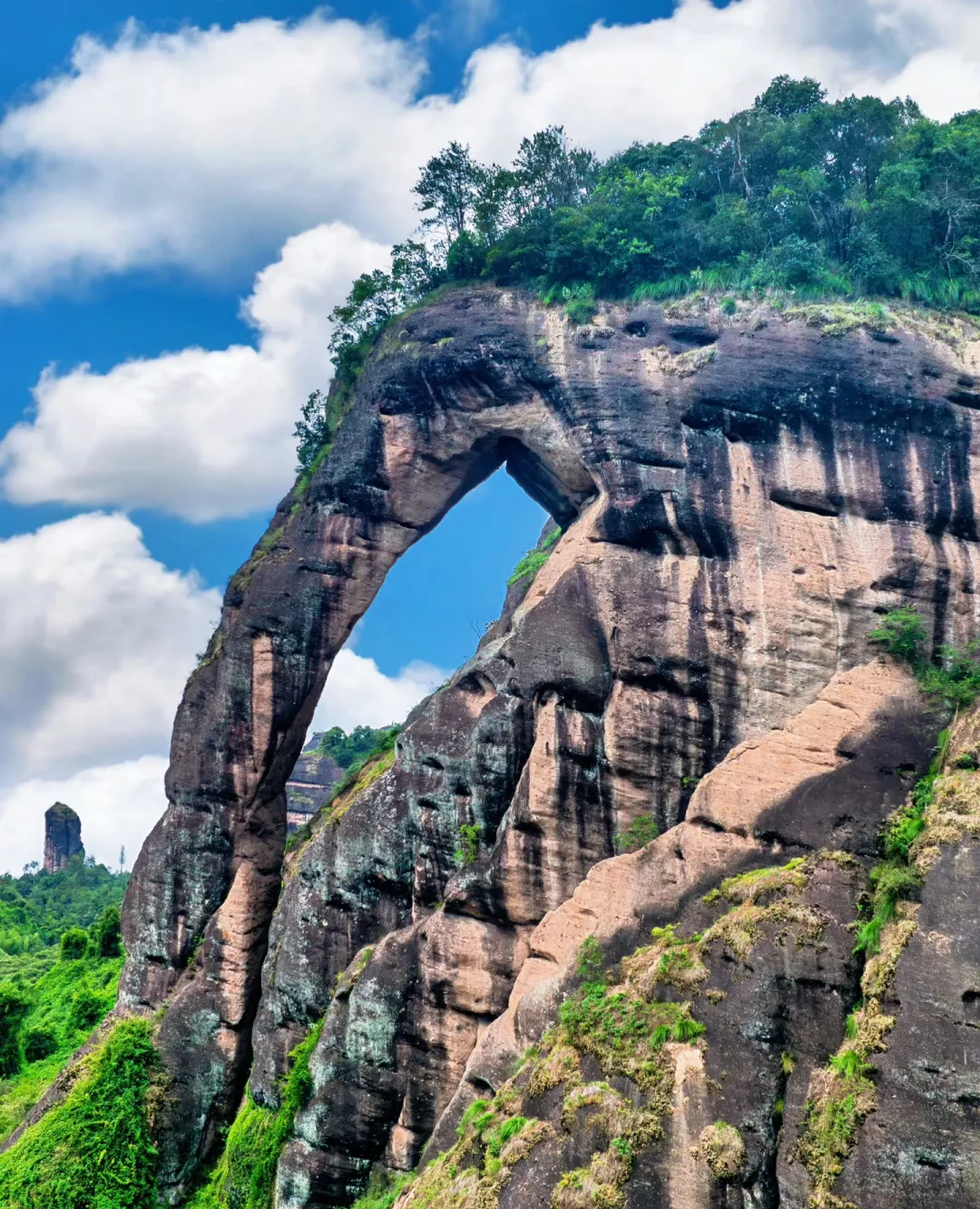 6c298366e915bdca0ccd644a30cf2641-sz_2120555