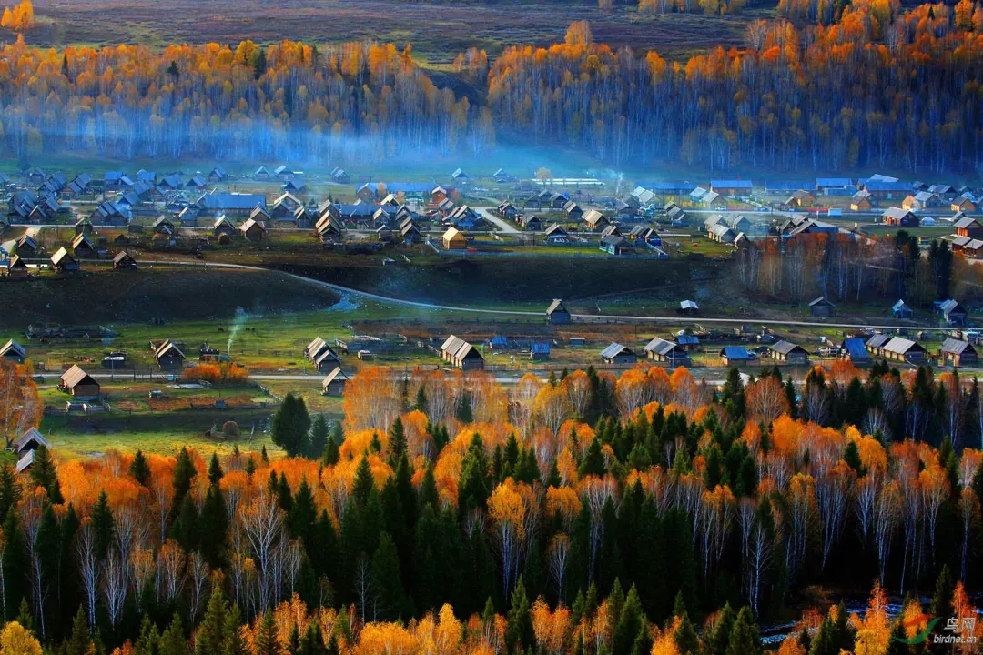 6c9e375e382c32c9e782b67af10b4575-sz_336997