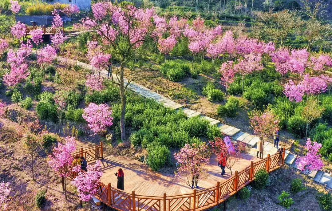 6c9ea0b00232b86c351abb63a3500b5b-sz_1241541