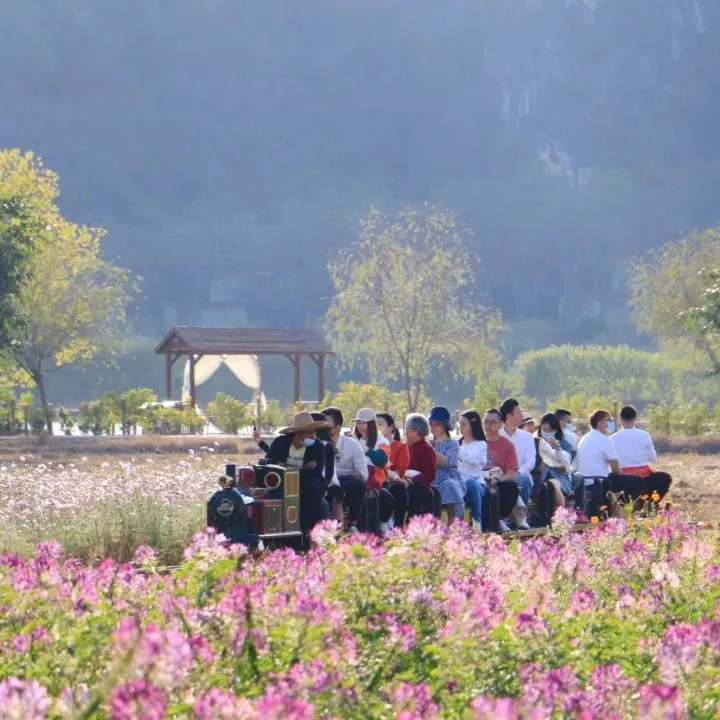 6cf6e02881df88ddf698cdef10a2c03b-sz_141605