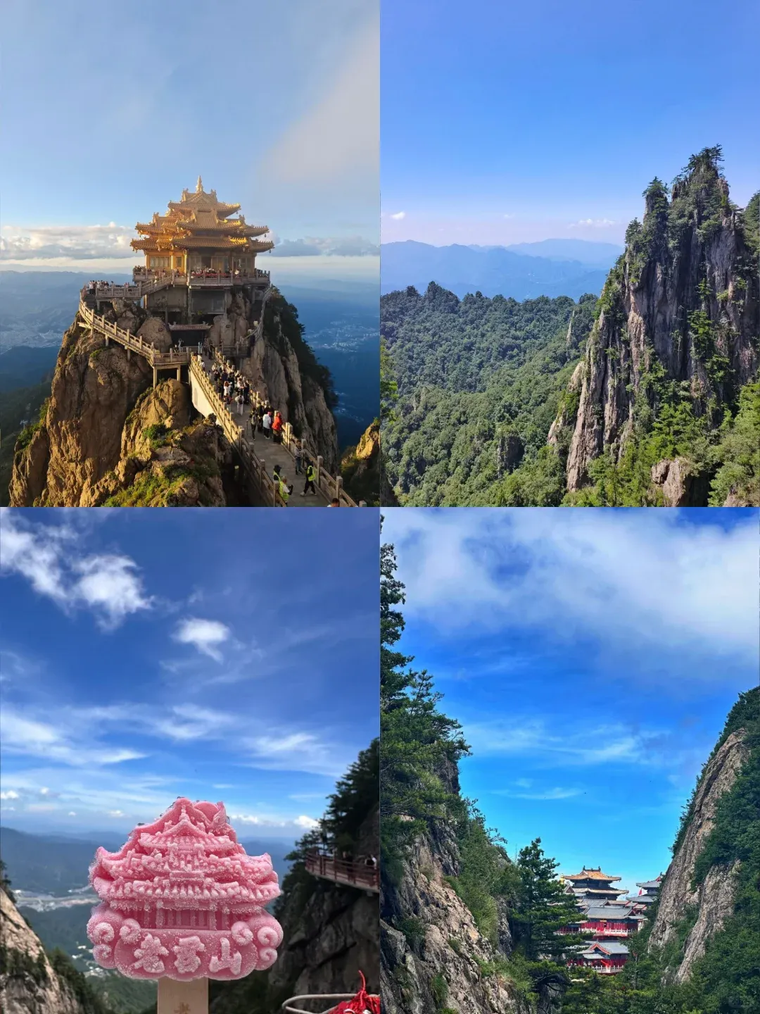 6d3a71908be4ce31a3970de4394bf7e7-sz_2110901