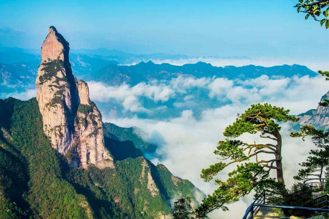 6eae8a9f62f8a19fa45e18552088397b-sz_129743