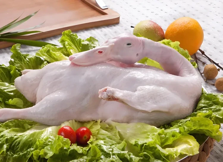 6f5caf1f77d8737bceee33145b8a8653-sz_8827979