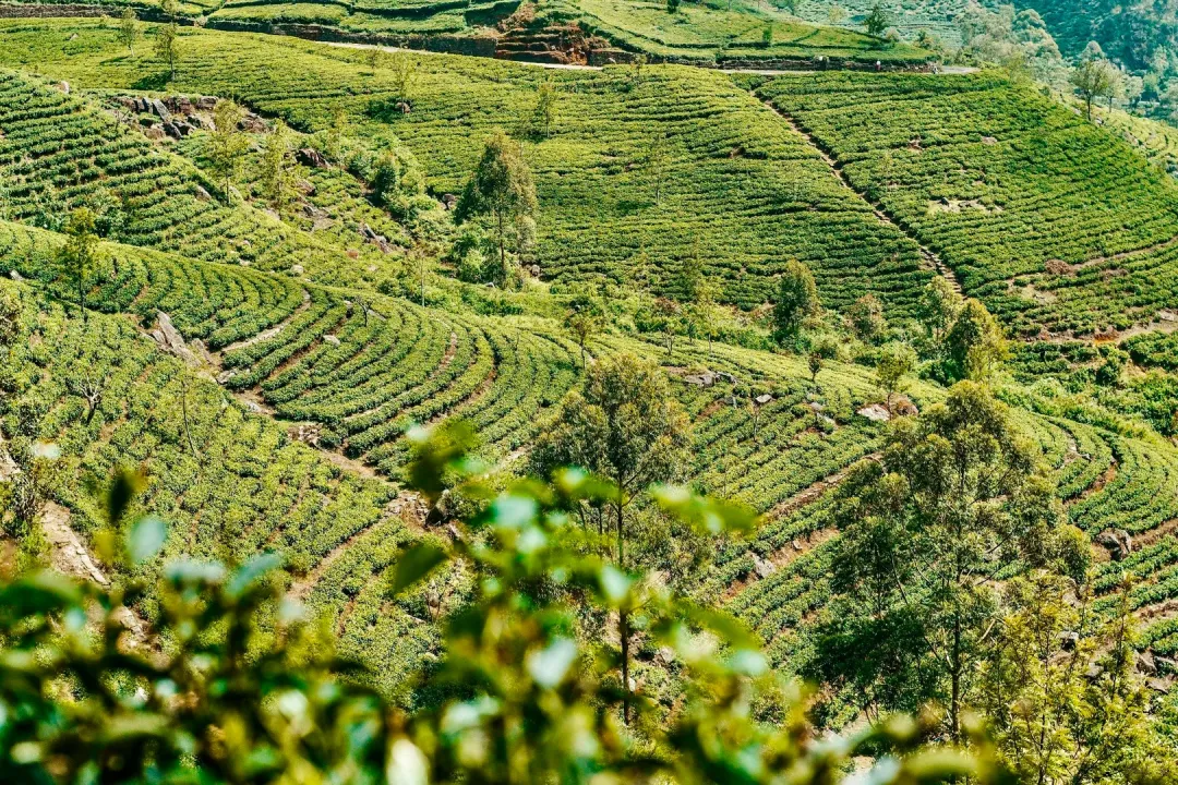 6f5f90e52e2d330e06f8d37897b406b7-sz_1164541