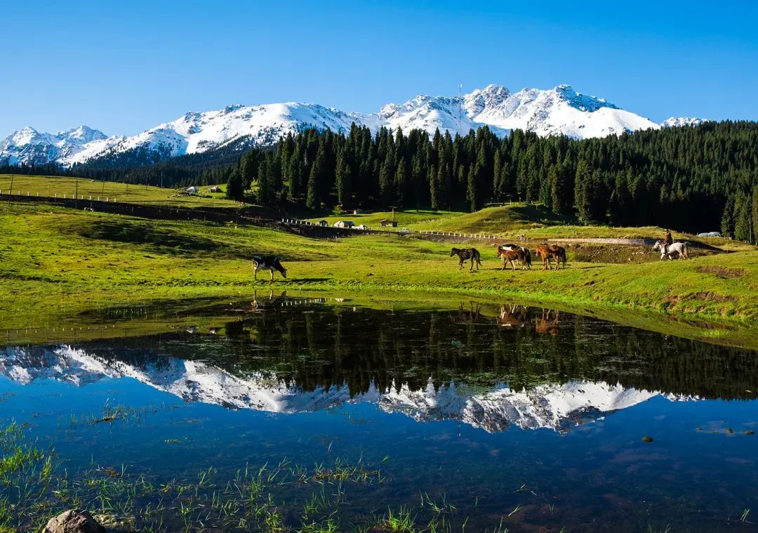 6f9e8c8aa210cec8357b57d59bc05525-sz_190709