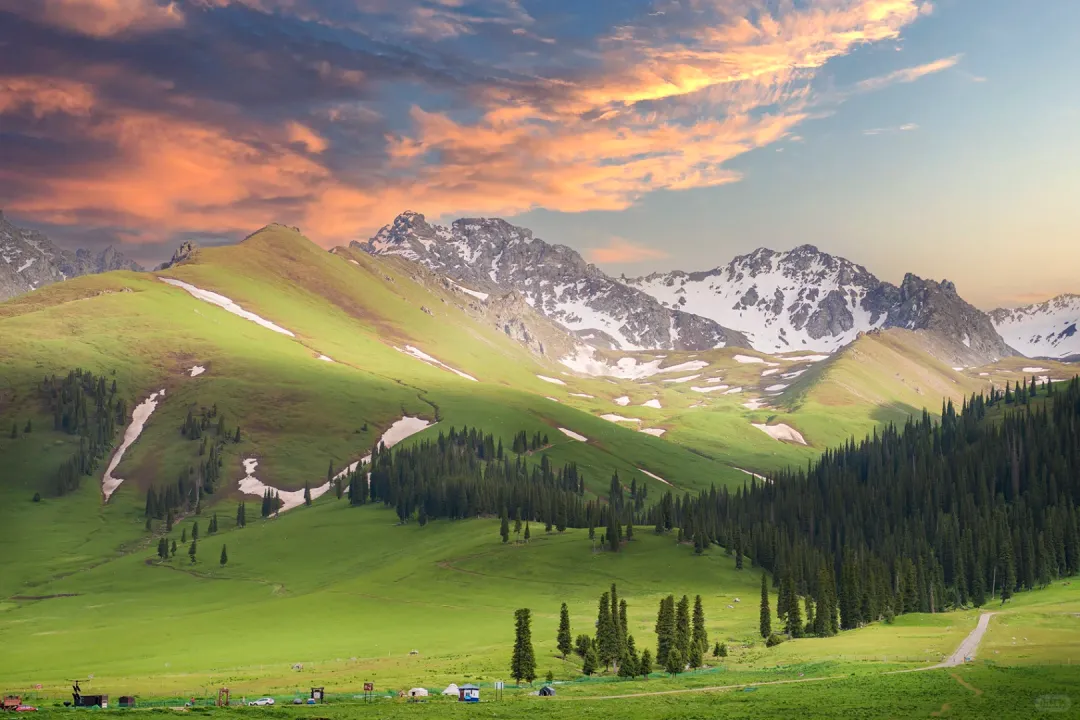 6fdf4ee320b274a31a3e054165d2c9e1-sz_3131608