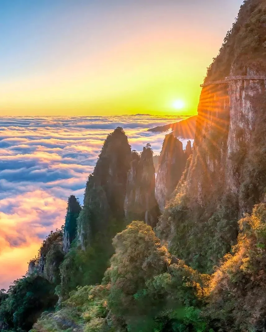 71069515061bbc99337d77941a6e2ebe-sz_545928-1