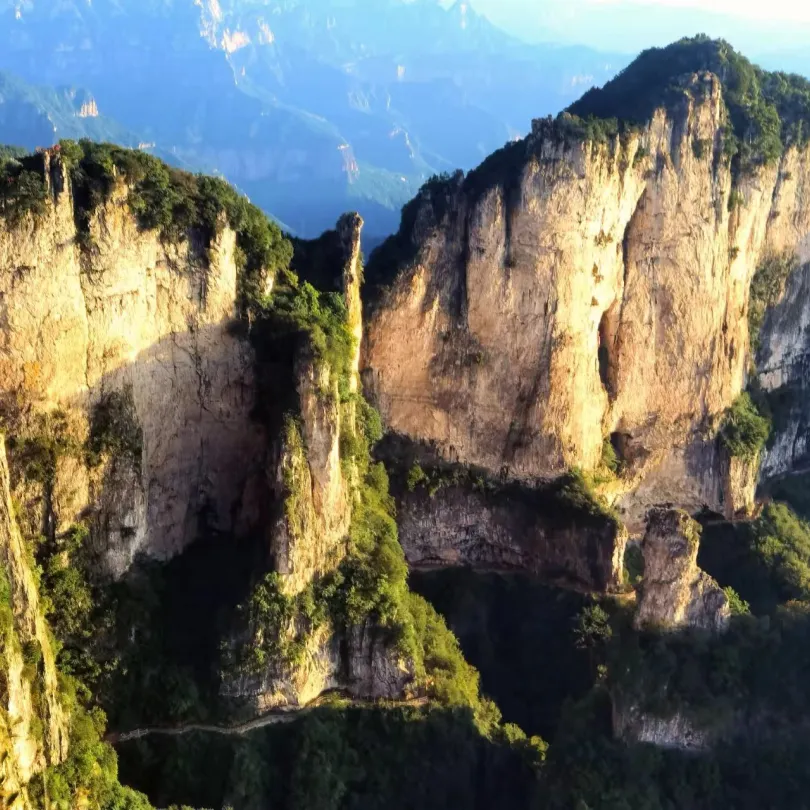 7116c8137998d0f5613385c70ef68839-sz_3090753