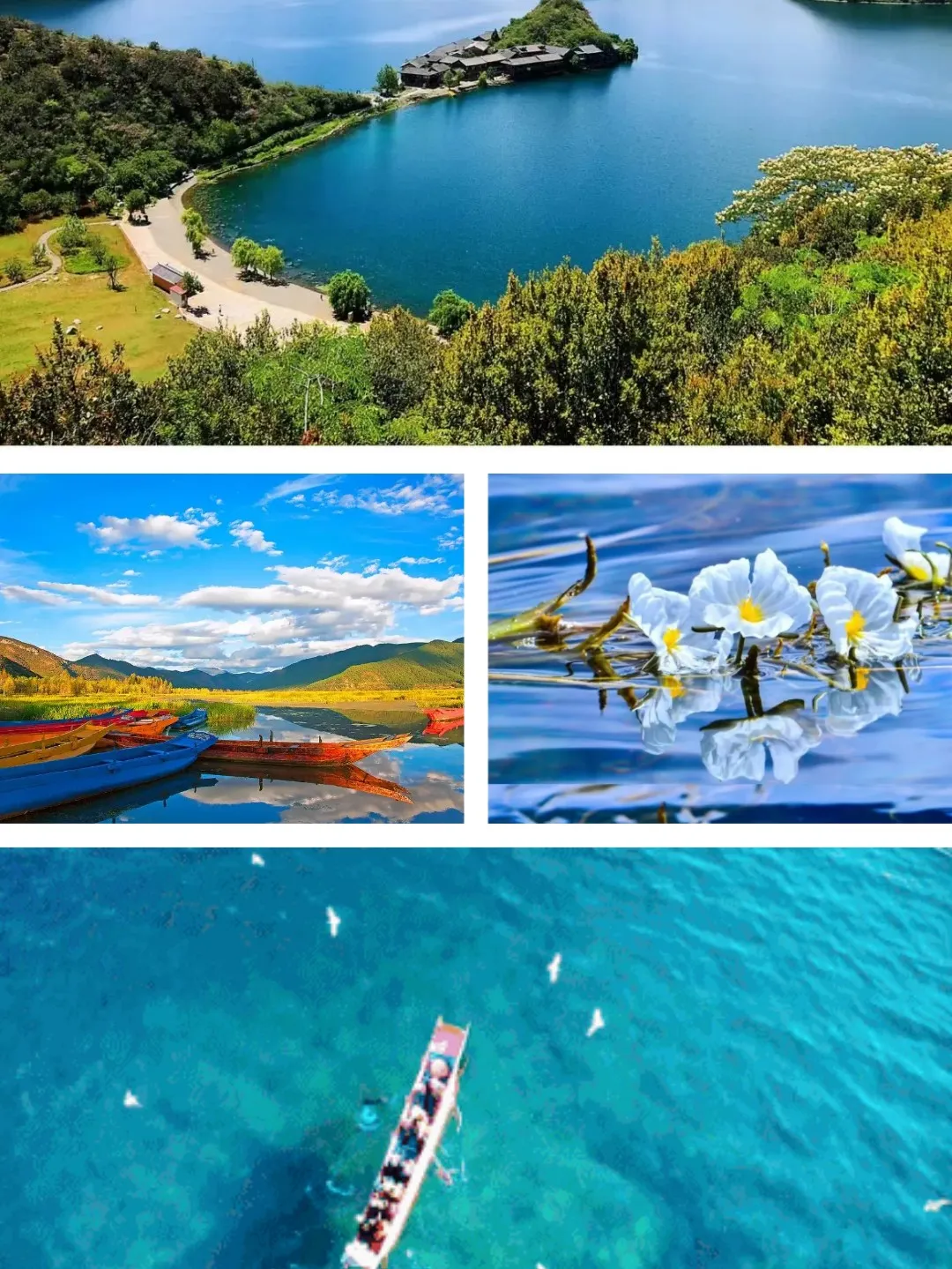 72bfd7726c66f531d120395f1656c1aa-sz_416850