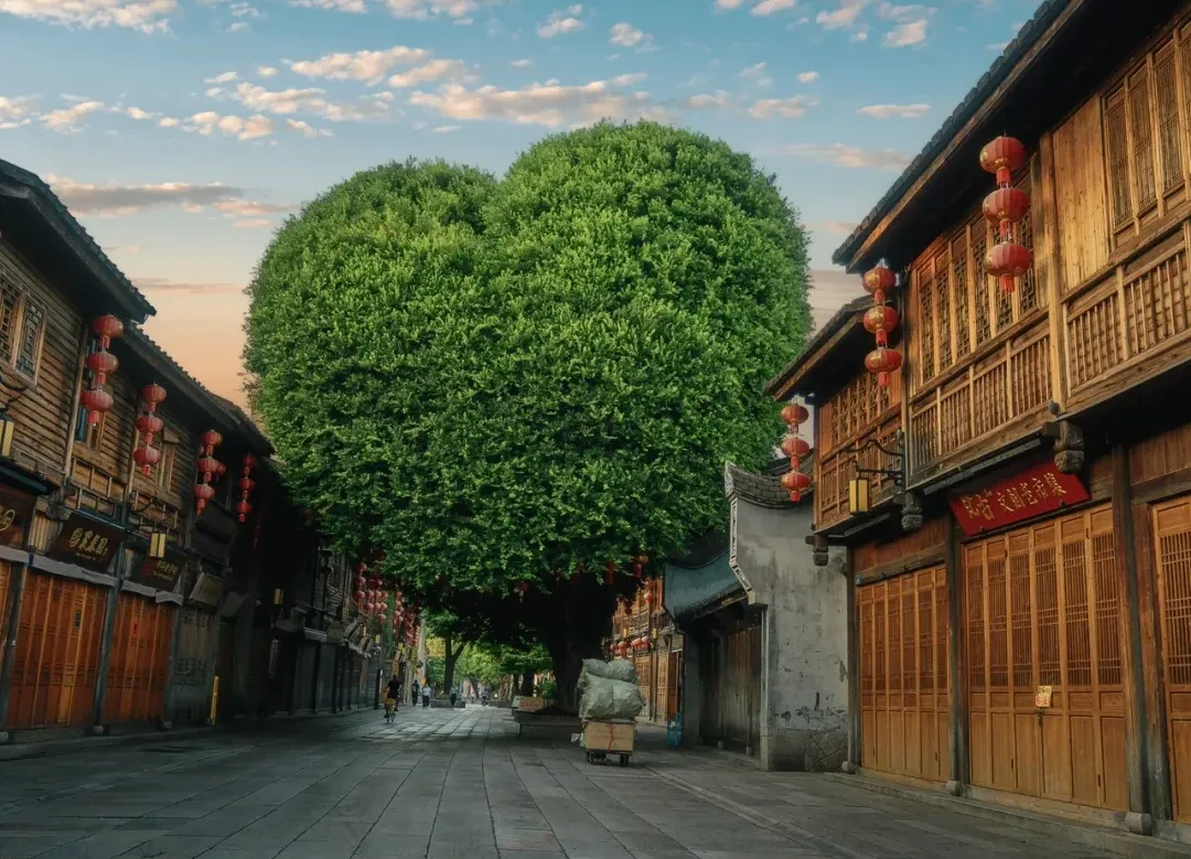 【八闽奇遇-山海福境-双动6日五晚连住国际五星喜来登；平潭蓝海+湄洲妈祖+福州古韵 深度环游】一次旅行打卡2岛3城;含5丰盛自助早8正餐：其中升级5大特色餐;暖心赠送–每人每天一瓶矿泉水