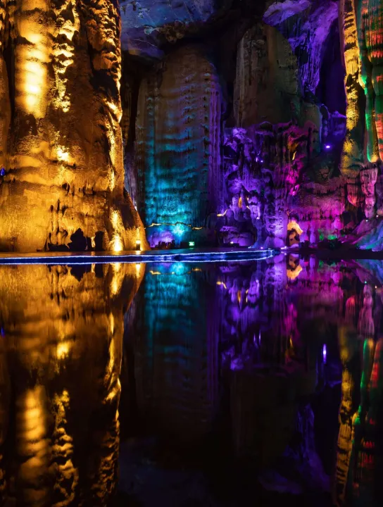 74aa8ac3d489ccf7dcbf851f9f303494-sz_7992395