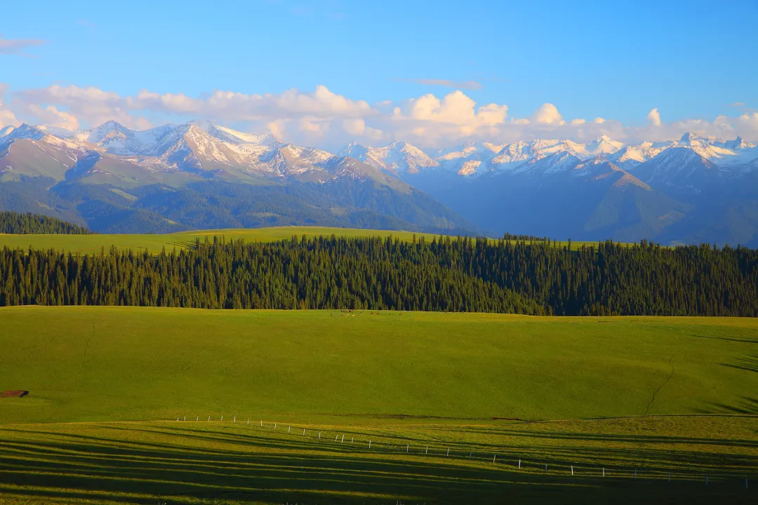 75653b4ec79b0fbca3ab403971259098-sz_1619223