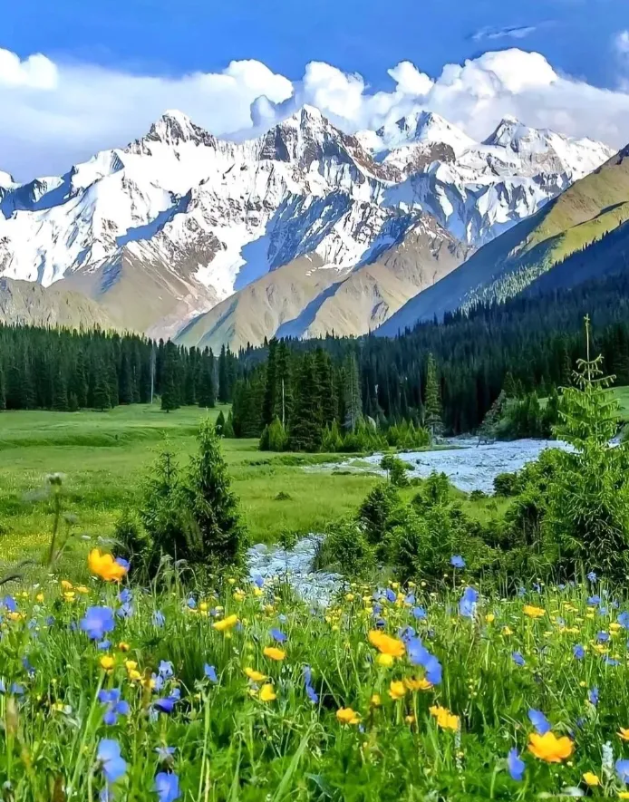 75af9583c0b0e8d5f188b6402fe629f7-sz_1214354-1