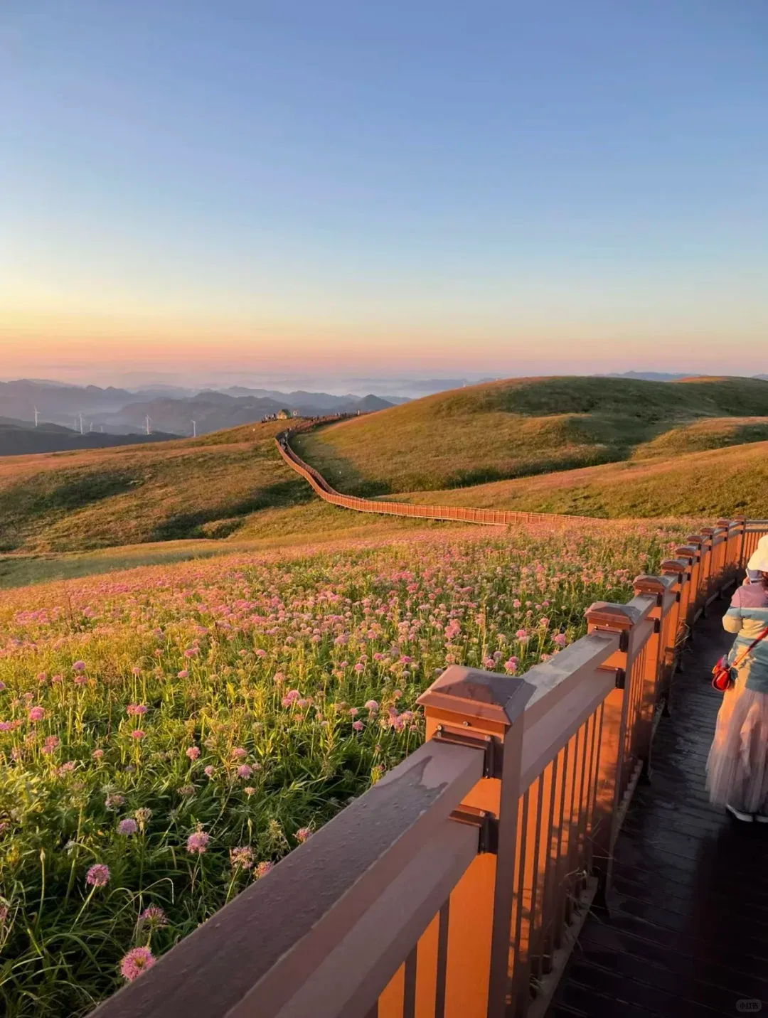 7733433d1363511195e61b616a0968e1-sz_1730975-1