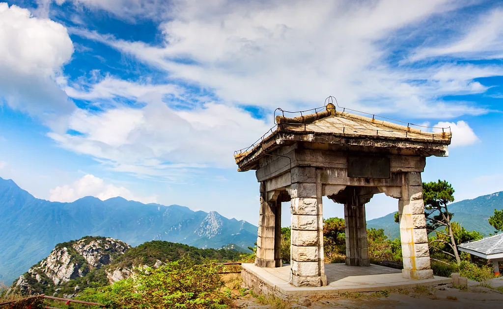 783921537a60878b5300d70a83c477d4-sz_1008078