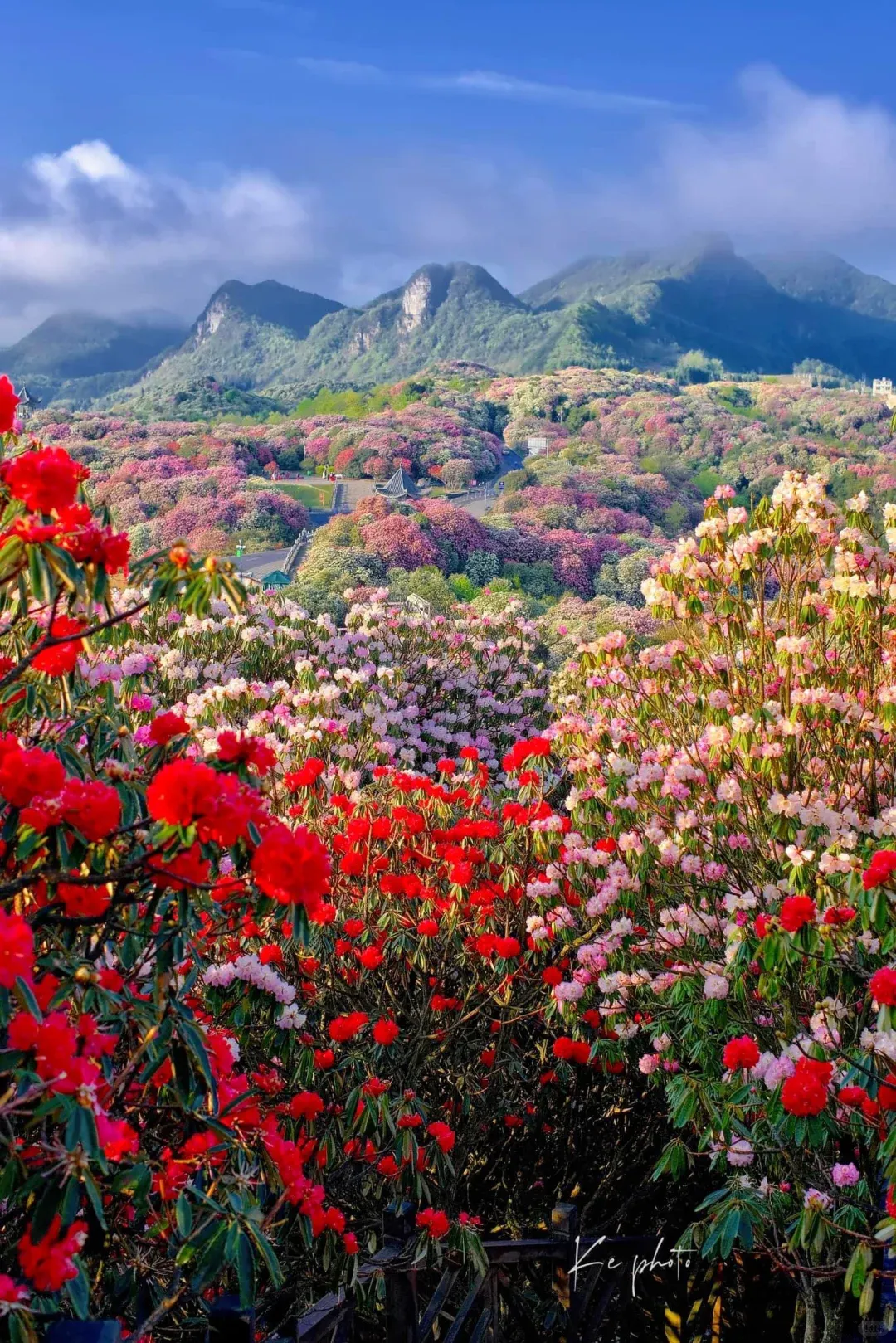 79281586f6fd3ffa25e06e31e423c668-sz_3207763-1