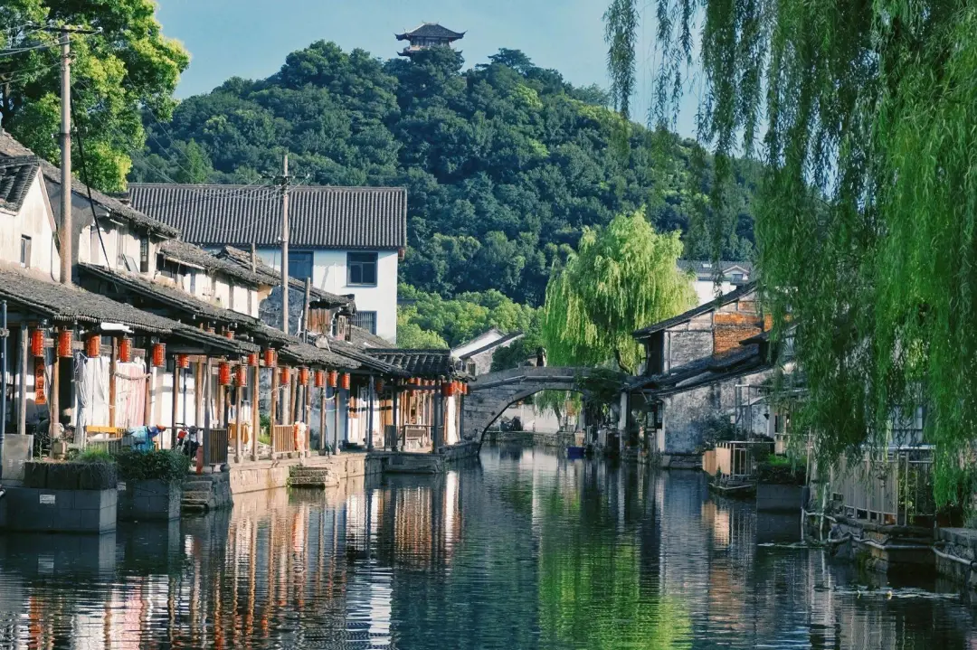 7a94f39c8adc18e94d1aaf005d254cfa-sz_782317