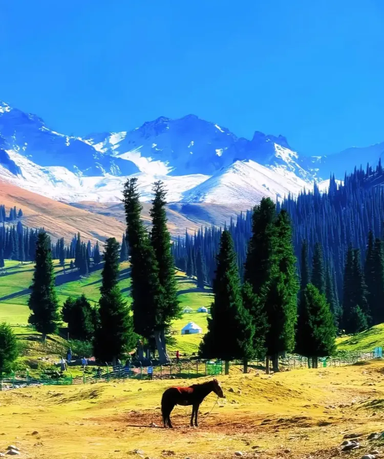 7c6f176bdfbec111ad9c9cd68457c4a9-sz_1075714-1