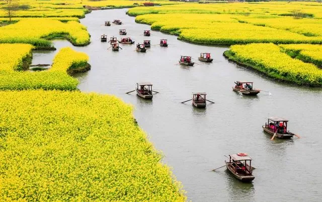 7c9292b0a3ece407fd77268017382b3a-sz_69469-1