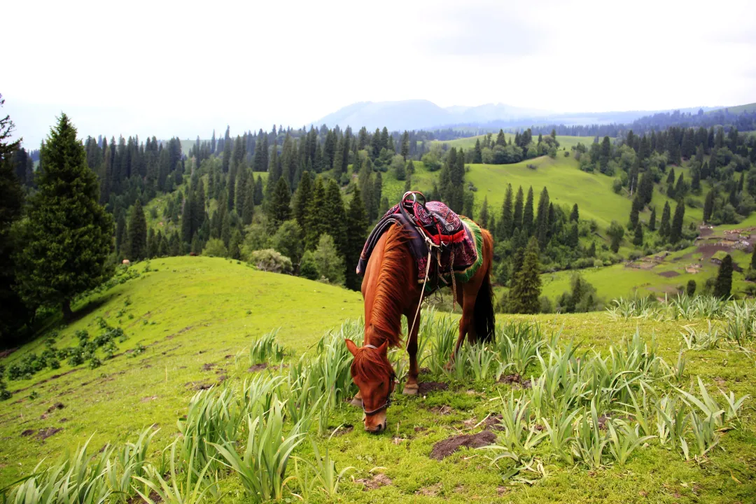 7cbaaedcdbac178b5d315c57e341cad4-sz_4297710