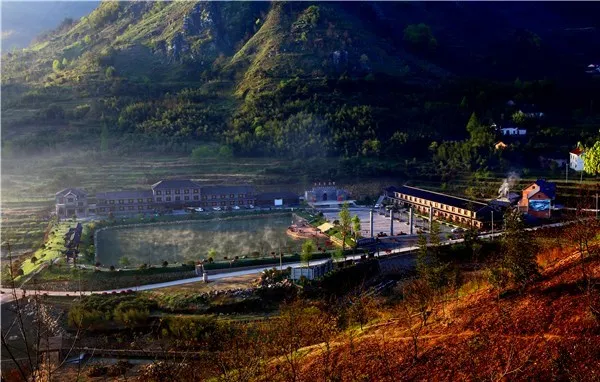 7cd89e41044af0532344deb27f9ed818-sz_86979