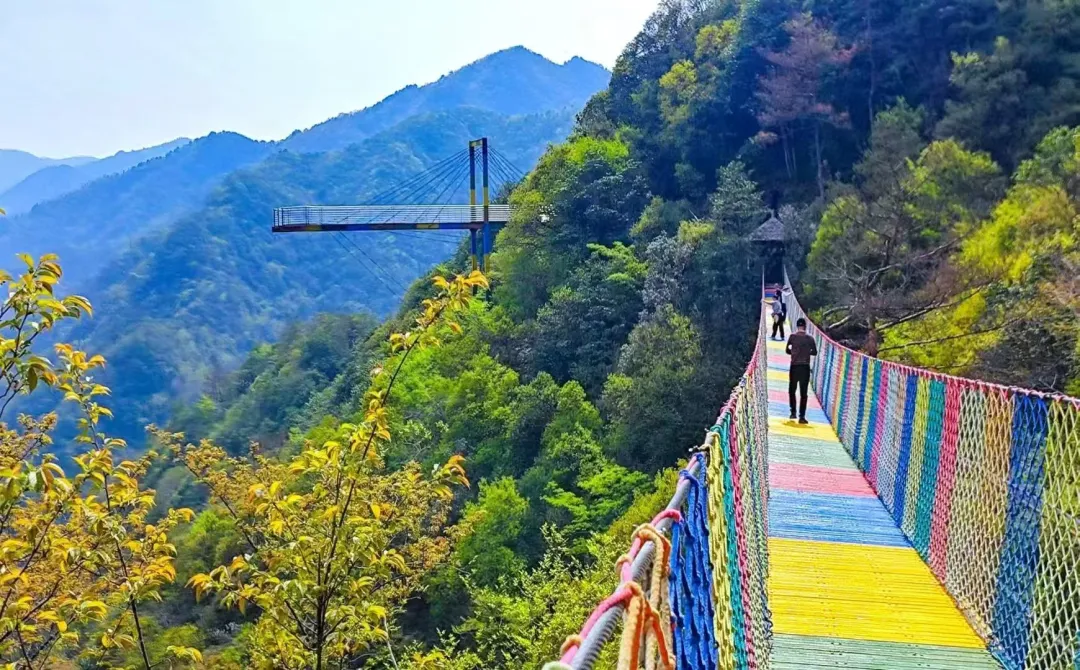 7cf634776b2e0952a9d9a3d74ebf321d-sz_440773