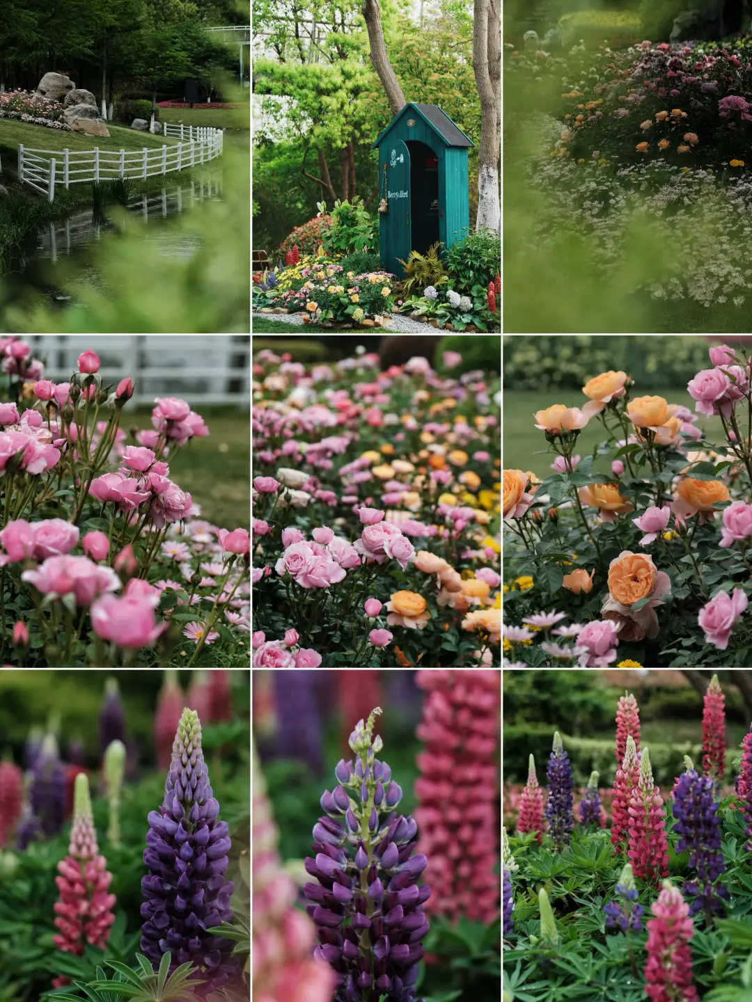 7dadb8eef052277017d16aa3b108492c-sz_1841125