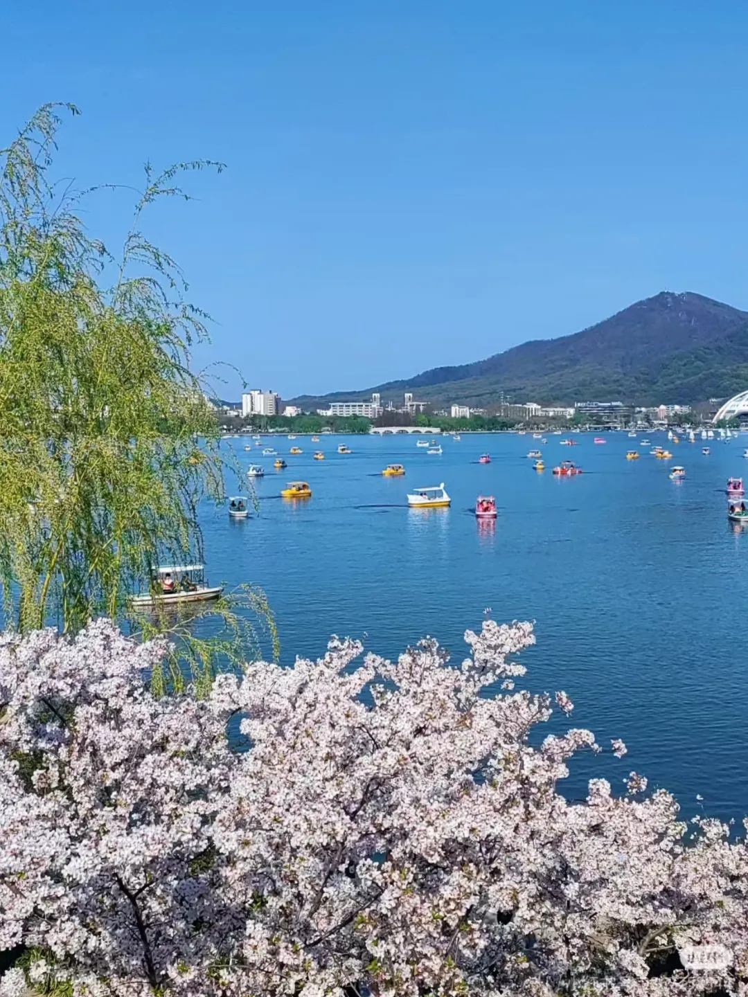 7f5621d92bde85ae66df9a485a9253ba-sz_967319