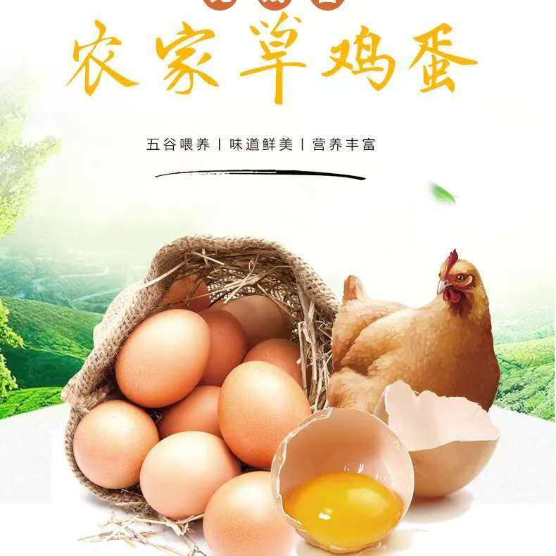 7fdf5057800d578963d97c85ece8def7-sz_55528-1