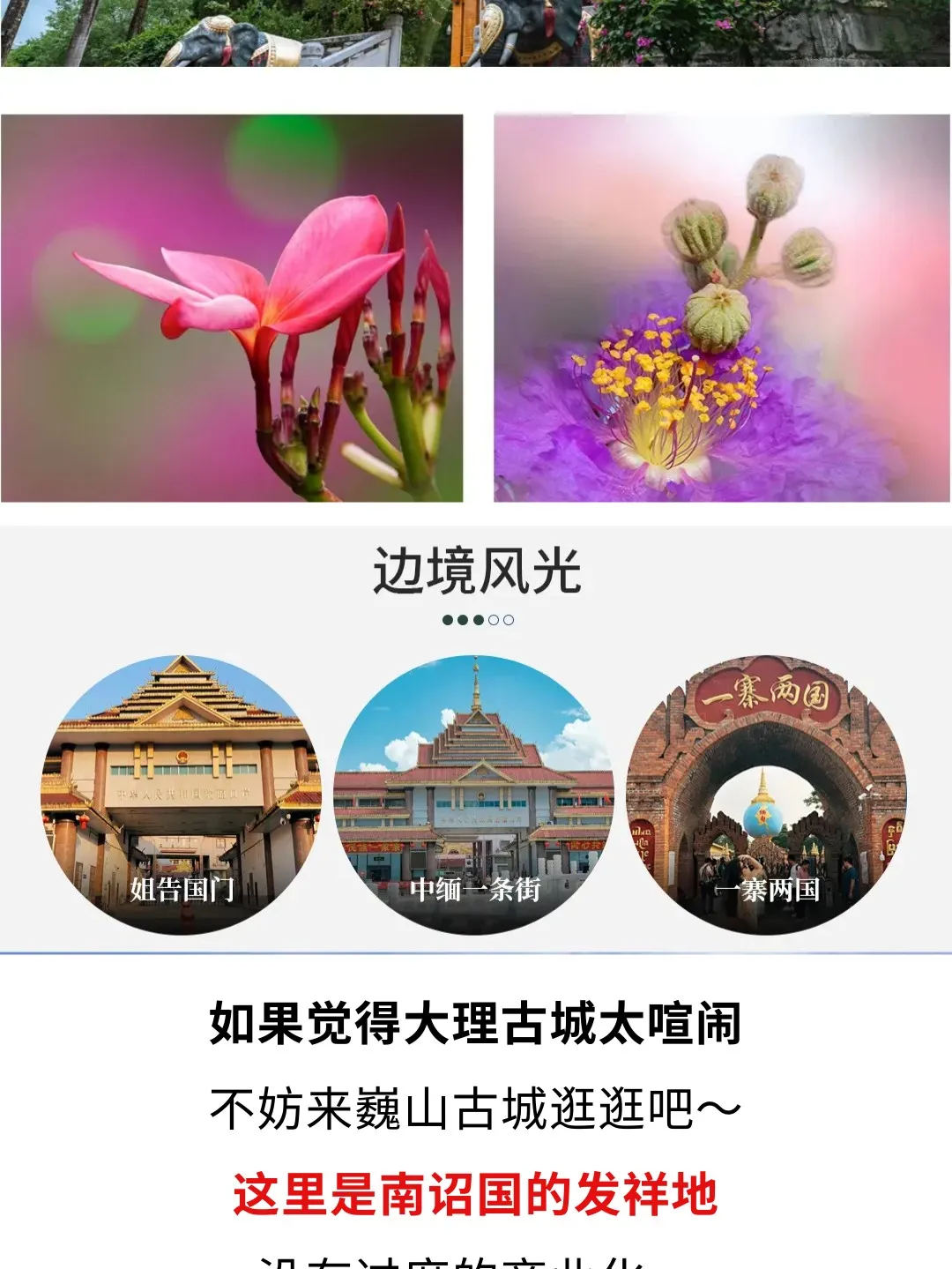 800e96d9e28cd20f3f701de026101c71-sz_271387