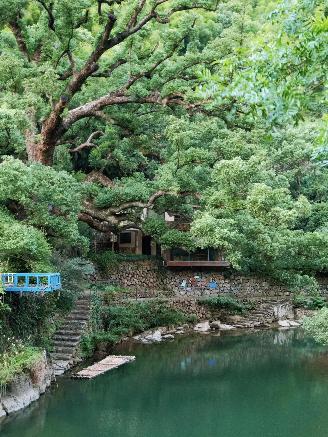 810627a131746ed331c6dd44b6d45c2c-sz_2460877