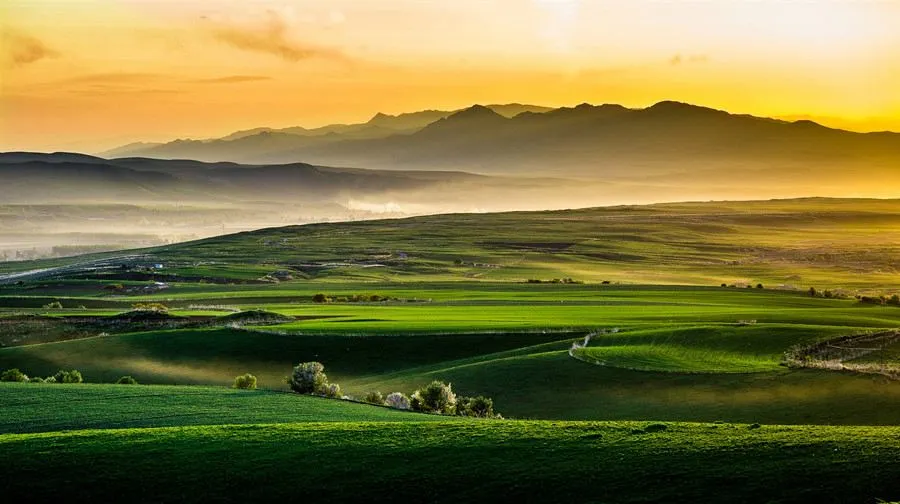 820e52944ec603b59f8a816a555f11c6-sz_73476