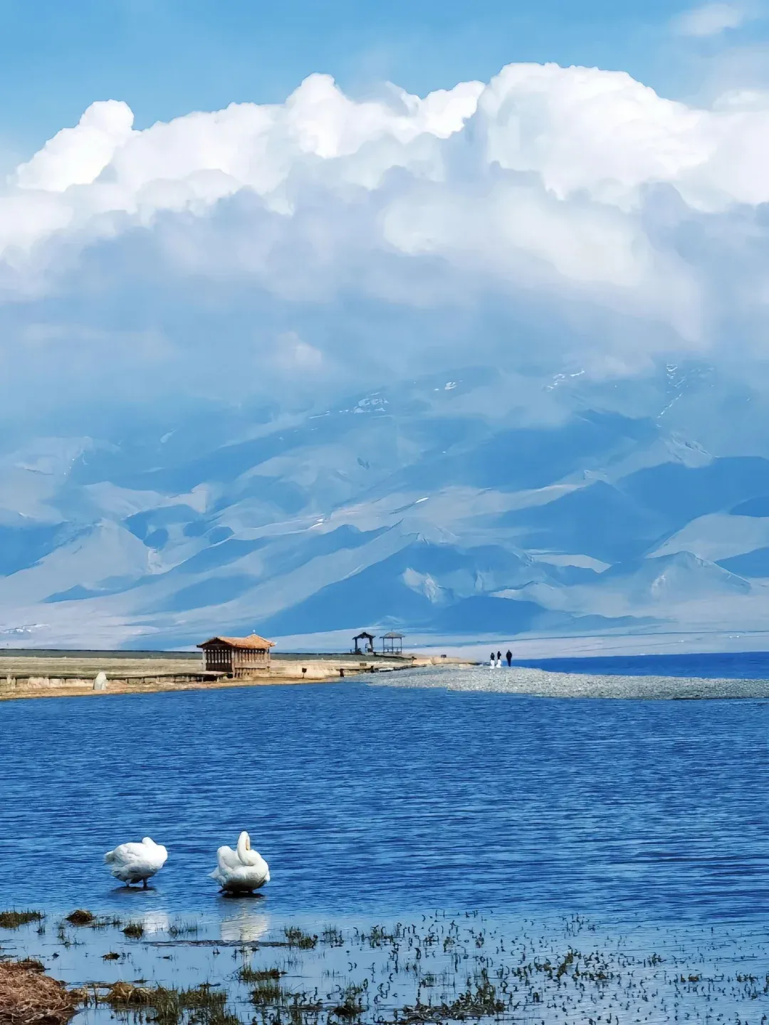 8406144a5d1aadac89675ff2f7926ebb-sz_2393577