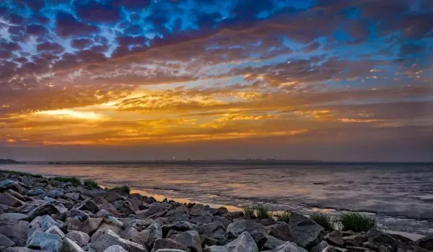 84291a700a18fd890d700a1eb1155f29-sz_316947