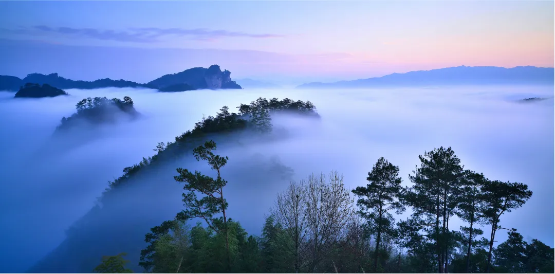 843878ee45060bc70909c01022bd7fb2-sz_8361053