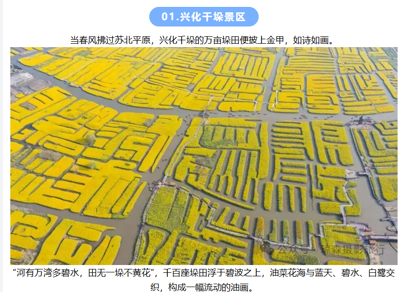 84d2d1328019d1cfa97c1bfd4652615e