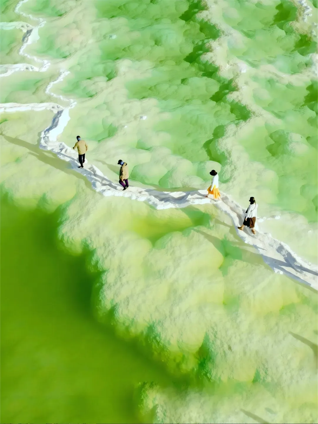 851d88c0224972553cf123e27bfd2d17-sz_399081