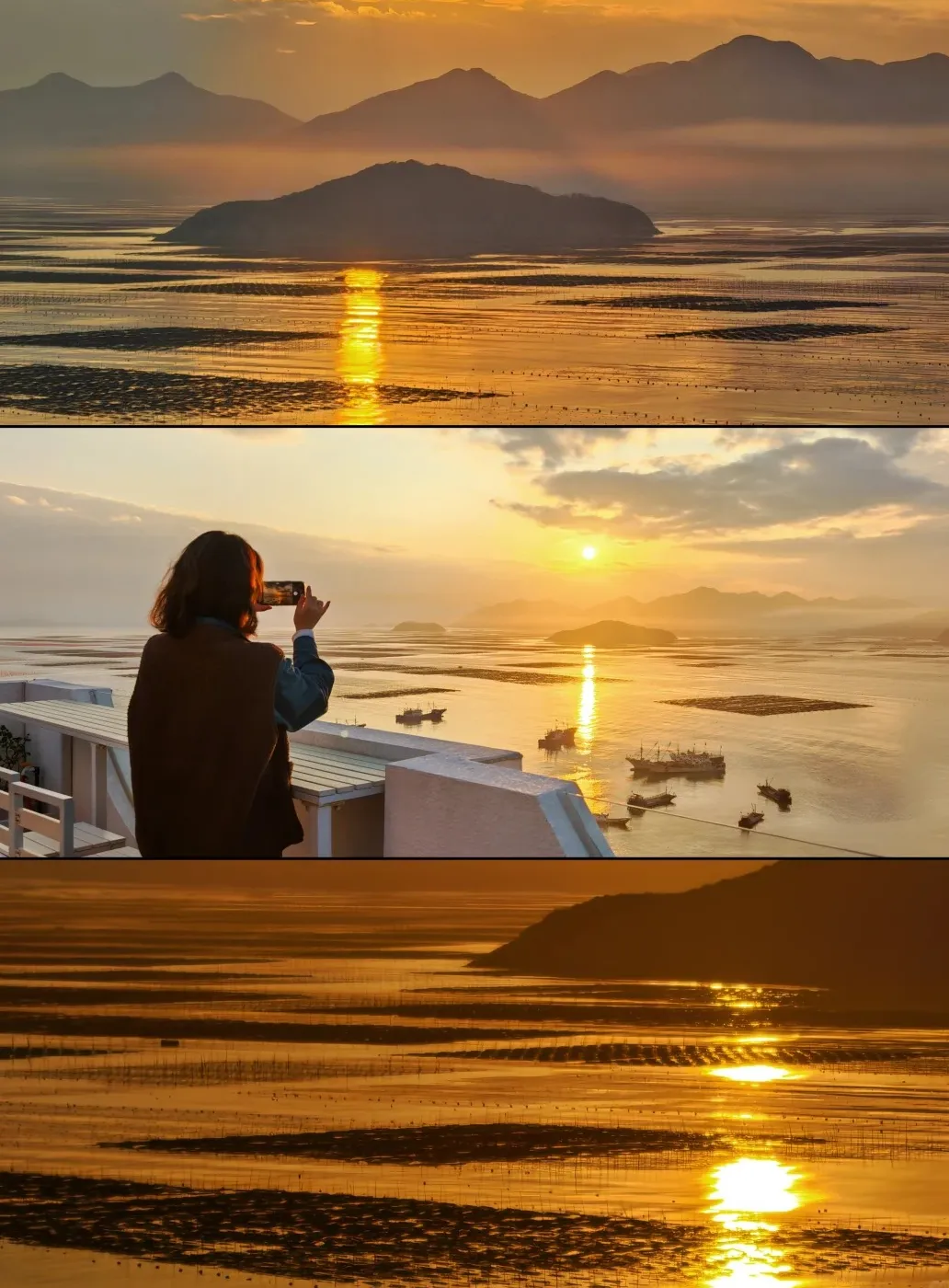 866b291725c92dc0816a93f19431d1b5-sz_335439