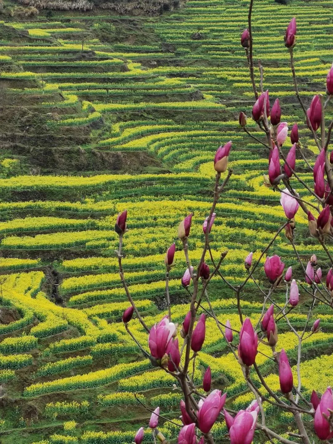 870fbf3857dbfc33cf1f4453152e501c-sz_421099