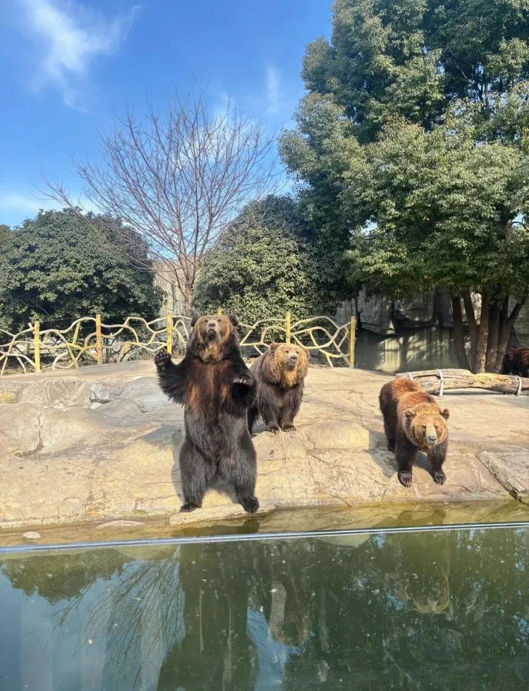 87fe7cd044628d807101f08f7c5fd0ec-sz_2641106