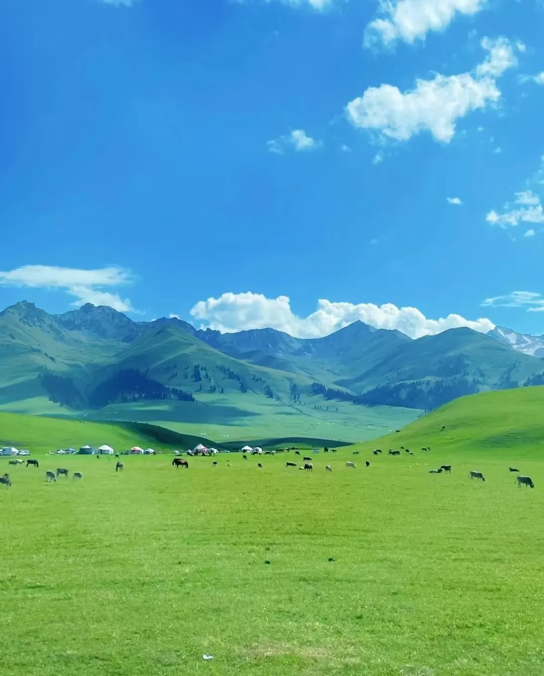 881088daafda9fefb67382b50923ec6a-sz_2019119-1