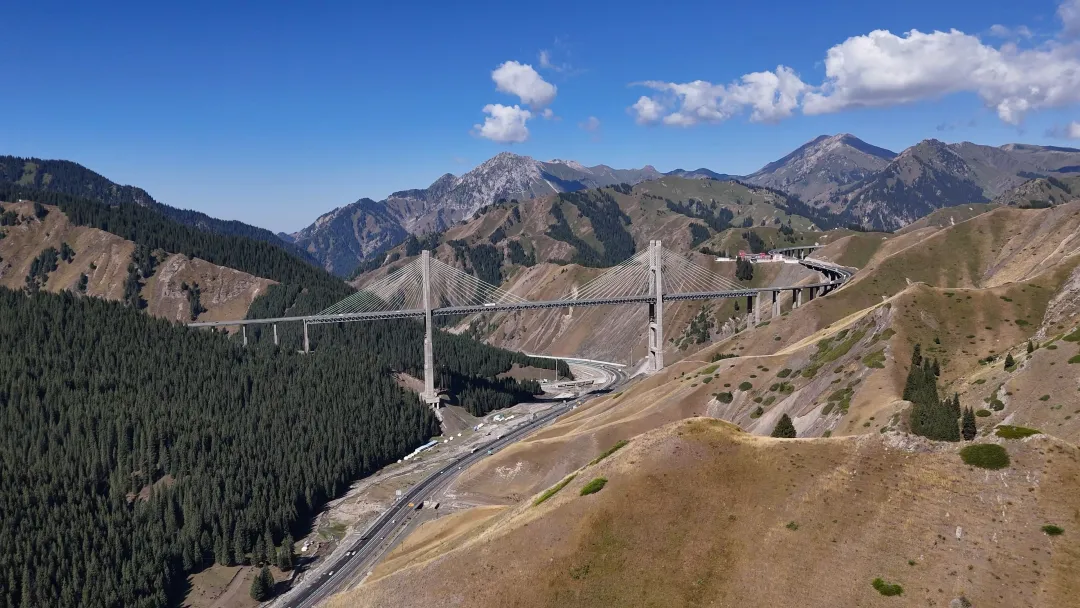 88b44a42e97e9f50e5e0b07850dc8c67-sz_1528139