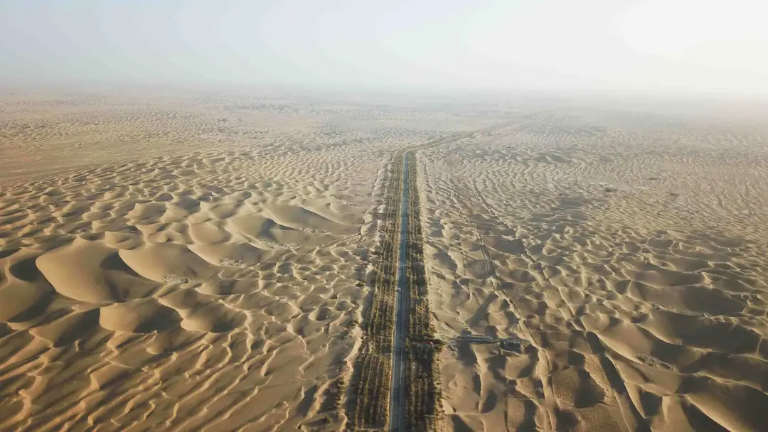 8903b5e63d7039e24e081f5c111767be-sz_323919