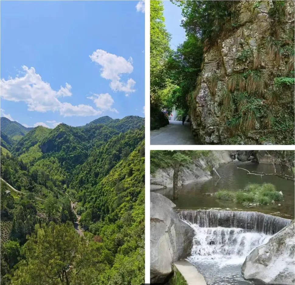 8a79f7798959f24a7e36e0e8e945dd82-sz_2137135