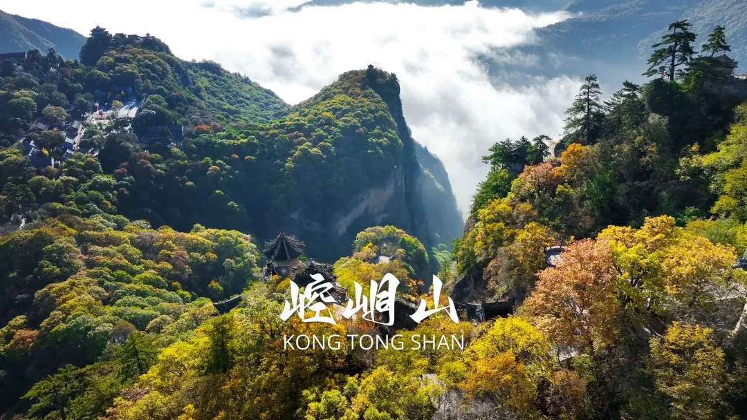 8bf80b2b54337f11dd2d5307ae470038-sz_911939